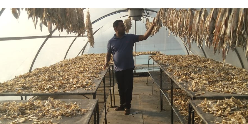 Solar Dryers Revolutionizing India’s Fish Processing Industry