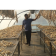 Solar Dryers Revolutionizing India's Fish Processing Industry